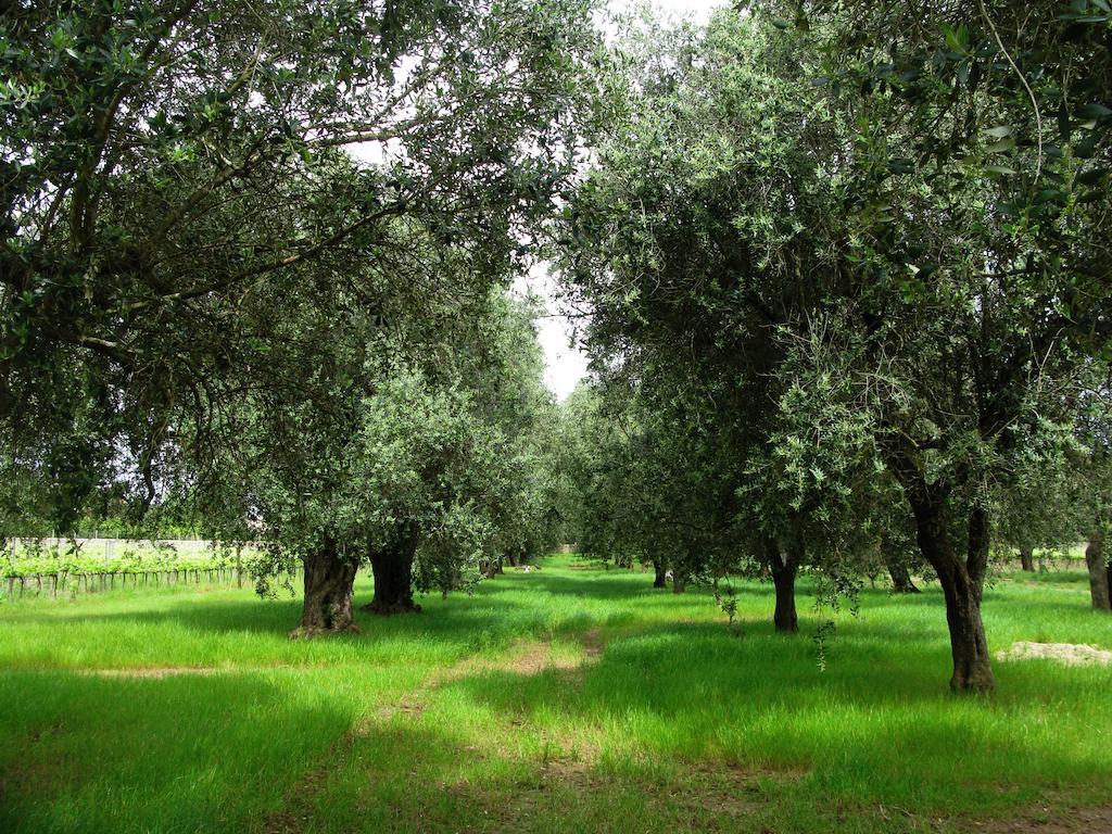 Squinzano Masseria San Polo מראה חיצוני תמונה