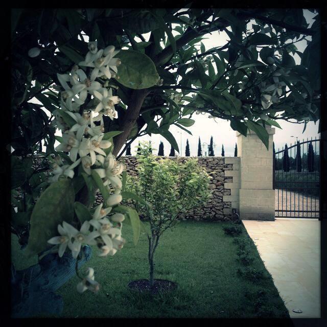 Squinzano Masseria San Polo מראה חיצוני תמונה