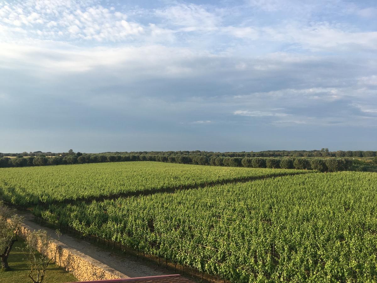 Squinzano Masseria San Polo מראה חיצוני תמונה